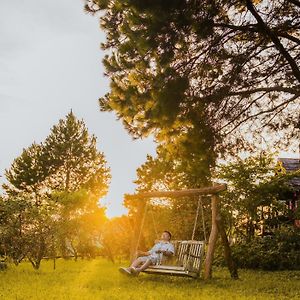 The Nordic Village - Evergreen Retreat